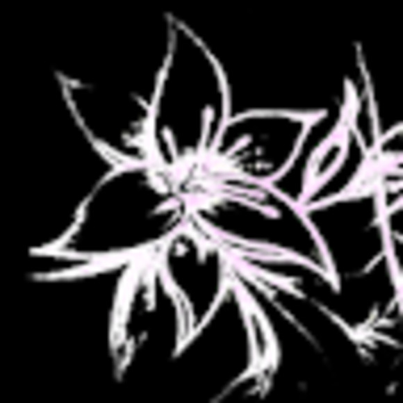 Meet your Posher, Jexx - Picture 1 of 1